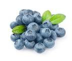 Blueberry Upick - Best Picking now to end of July